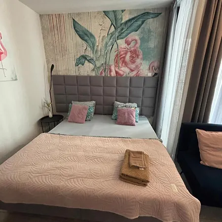 Wow! Paradise Kraków